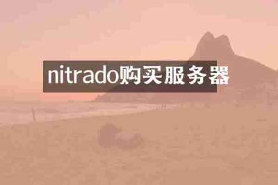 nitrado购买服务器