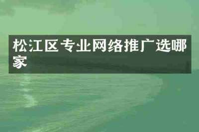 松江区专业网络推广选哪家