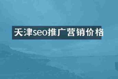 天津seo推广营销价格