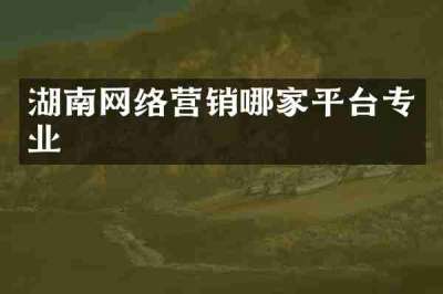 湖南网络营销哪家平台专业