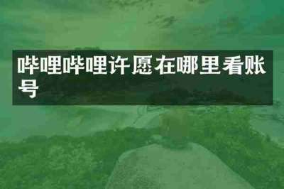 哔哩哔哩许愿在哪里看账号