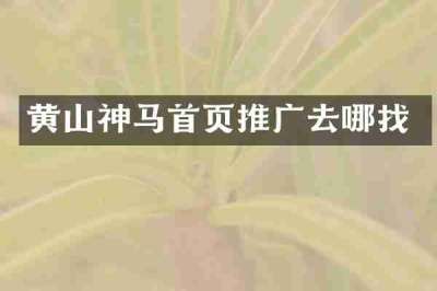 黄山神马首页推广去哪找