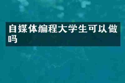自媒体编程大学生可以做吗