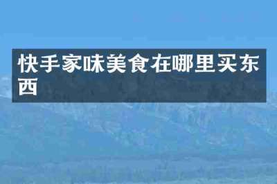 快手家味美食在哪里买东西