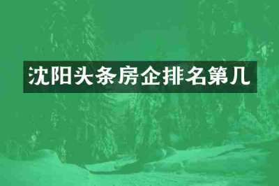 沈阳头条房企排名第几