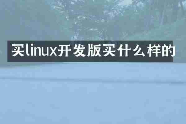 买linux开发版样的