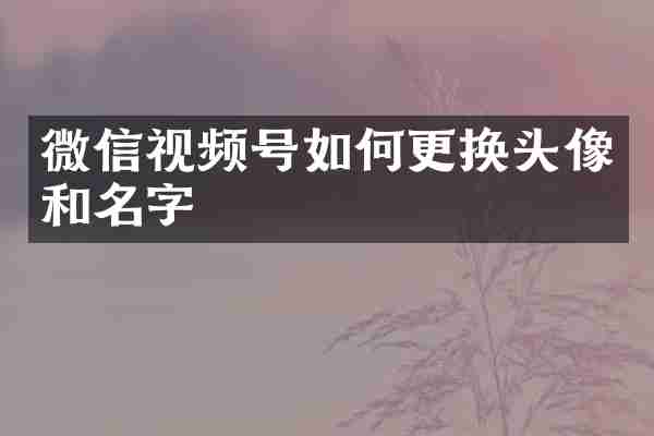 微信视频号如何更换头像和名字