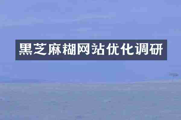 黑芝麻糊网站优化调研