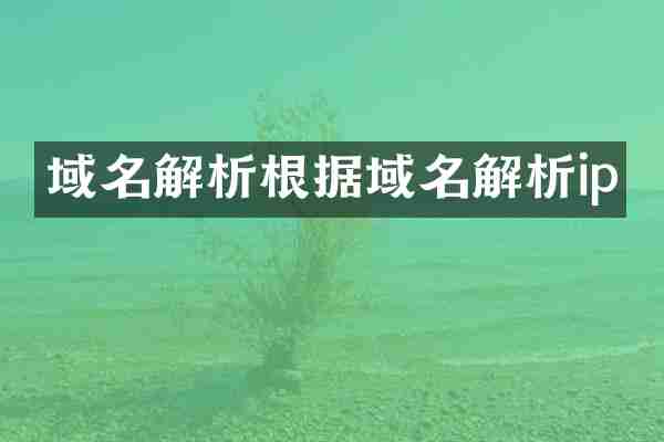 域名解析根据域名解析ip
