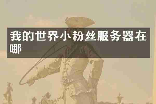 我的世界小粉丝服务器在哪