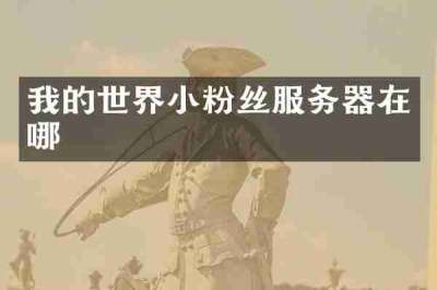 我的世界小粉丝服务器在哪