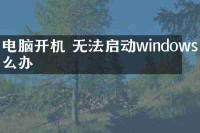 电脑开机 无法启动windows怎么办