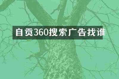 自贡360搜索广告找谁