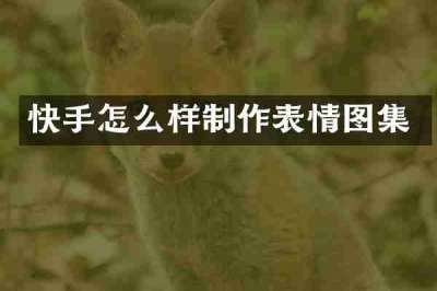 快手怎么样制作表情图集