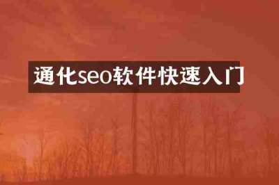 通化seo软件快速入门