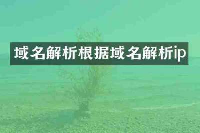 域名解析根据域名解析ip