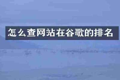 怎么查网站在谷歌的排名