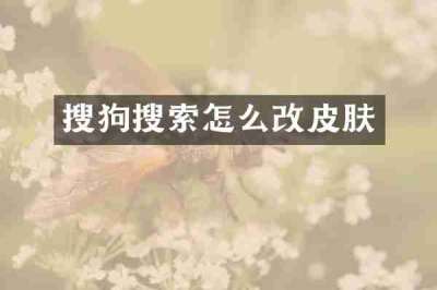 搜狗搜索怎么改皮肤