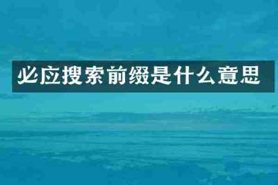 必应搜索前缀是什么意思