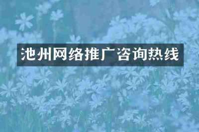 池州网络推广咨询热线