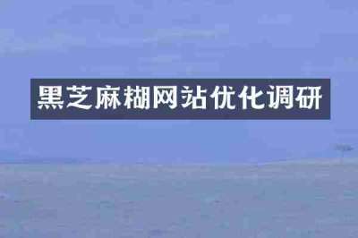 黑芝麻糊网站优化调研