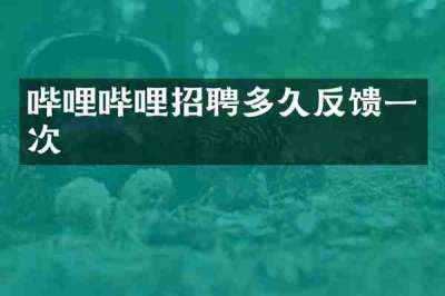 哔哩哔哩招聘多久反馈一次