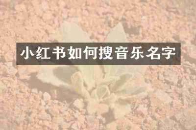 小红书如何搜音乐名字
