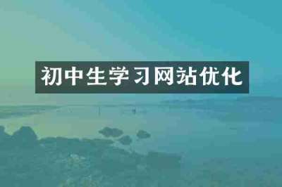 初中生学习网站优化