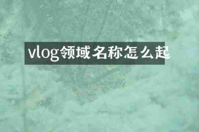 vlog领域名称怎么起