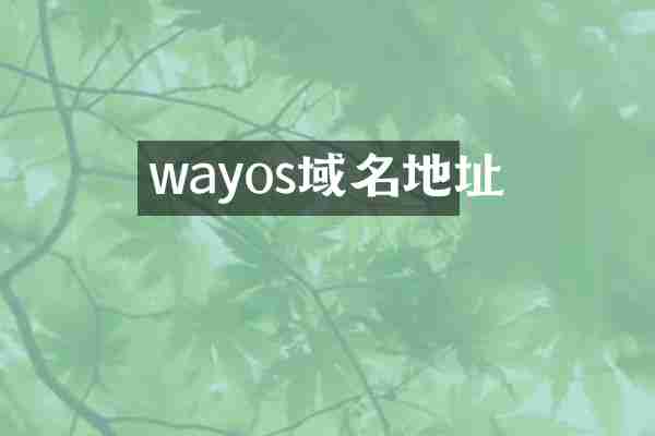 wayos域名地址