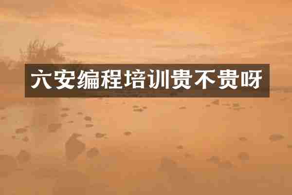 六安编程培训贵不贵呀