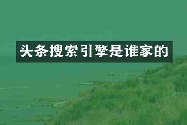 头条搜索引擎是谁家的