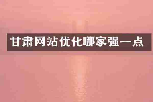 甘肃网站优化哪家强一点