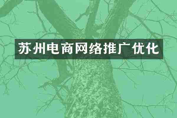 苏州电商网络推广优化
