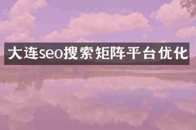 大连seo搜索矩阵平台优化
