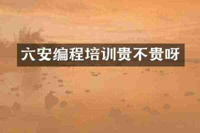 六安编程培训贵不贵呀