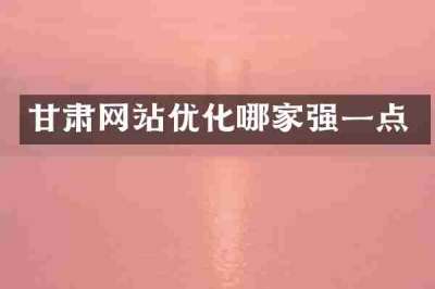 甘肃网站优化哪家强一点