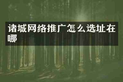 诸城网络推广怎么选址在哪
