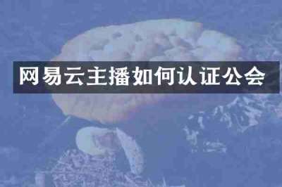 网易云主播如何认证公会