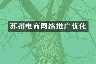 苏州电商网络推广优化
