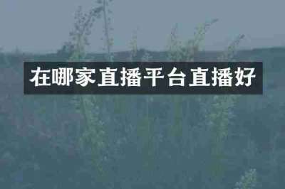 在哪家直播平台直播好