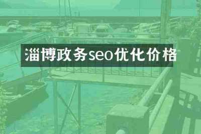 淄博政务seo优化价格