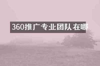 360推广专业团队在哪