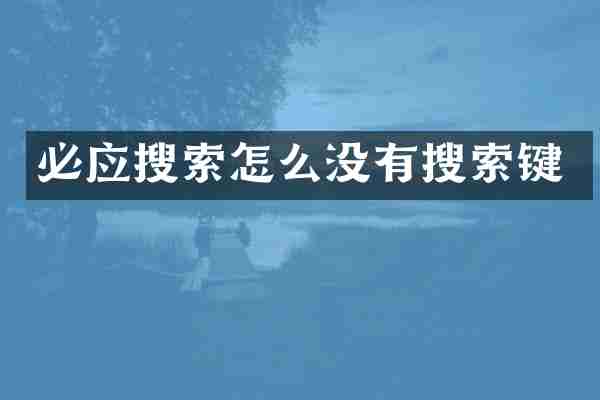 必应搜索怎么没有搜索键
