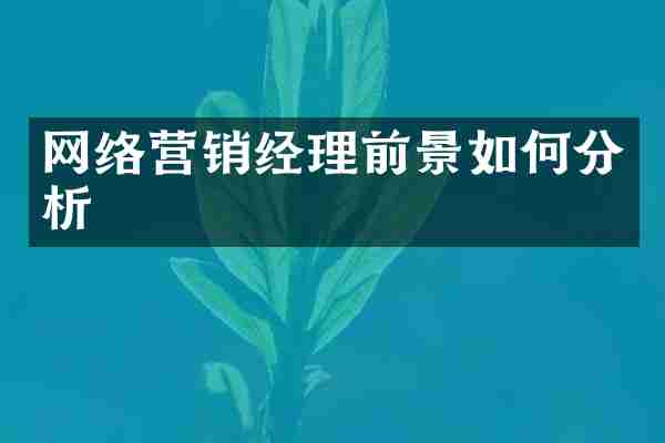 网络营销经理前景如何分析