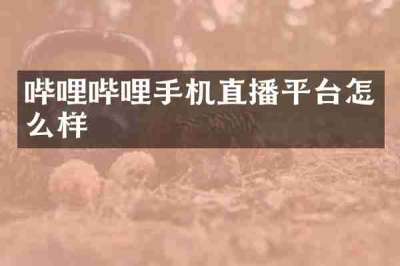 哔哩哔哩手机直播平台怎么样