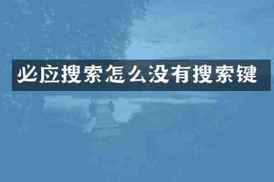 必应搜索怎么没有搜索键