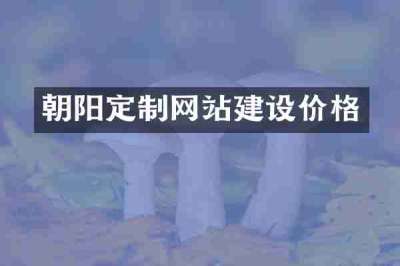 朝阳定制网站建设价格
