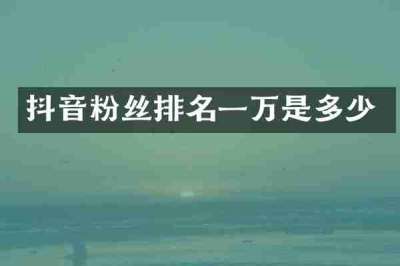 抖音粉丝排名一万是多少