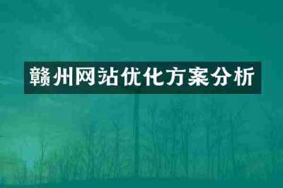 赣州网站优化方案分析